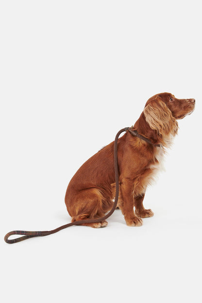 Tartan Leash