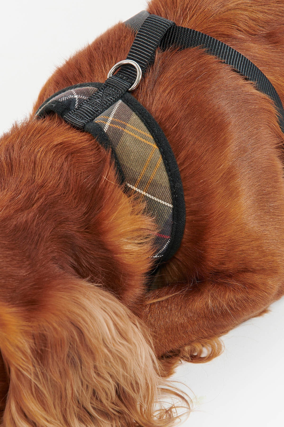 Tartan Dog Harness