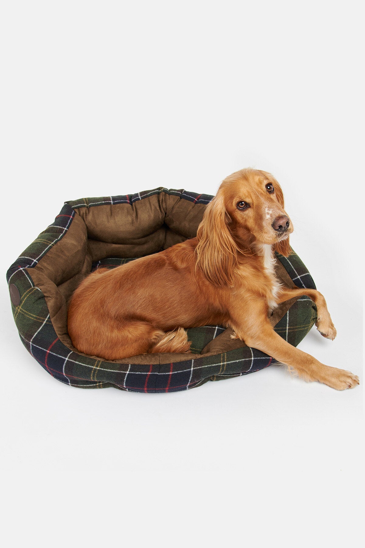 Luxury Dog Bed